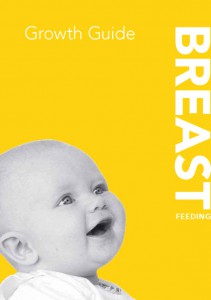 Book Cover: The Netherlands - breastfeeding - english version