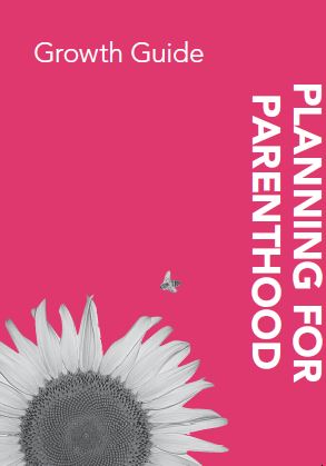 Book Cover: The Netherlands - Planning for parenthood - english version